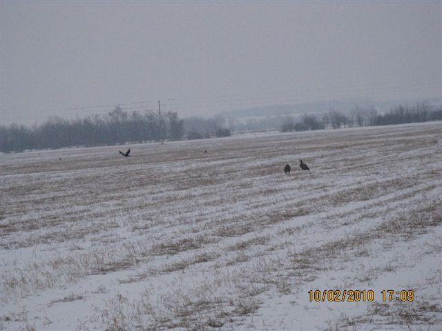 PICT4029.JPG - Foto-Service HR?HO4*EJL?GH46