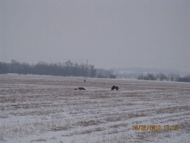 PICT4030.JPG - Foto-Service HR?HO4*EJL?GH46