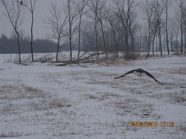 PICT4031.JPG - Foto-Service HR?HO4*EJL?GH46