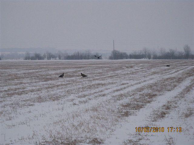 PICT4032.JPG - Foto-Service HR?HO4*EJL?GH46