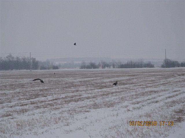 PICT4033.JPG - Foto-Service HR?HO4*EJL?GH46