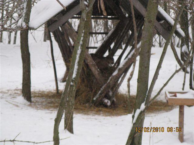 PICT4034.JPG - Foto-Service HR?HO4*EJL?GH46