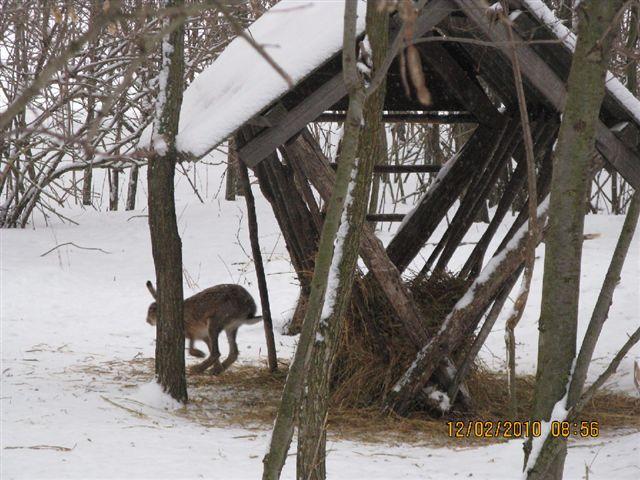 PICT4035.JPG - Foto-Service HR?HO4*EJL?GH46