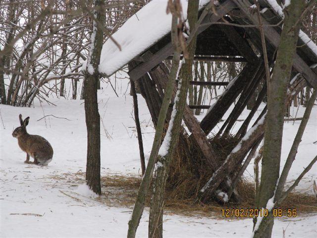 PICT4036.JPG - Foto-Service HR?HO4*EJL?GH46