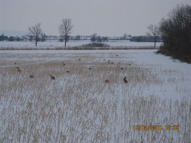 PICT4037.JPG - Foto-Service HR?HO4*EJL?GH46