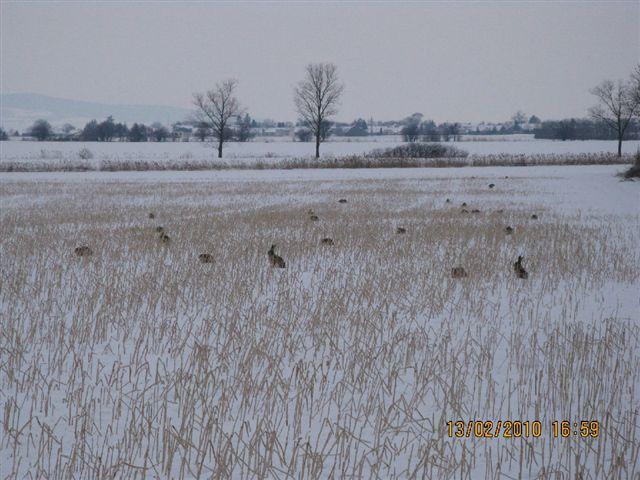 PICT4038.JPG - Foto-Service HR?HO4*EJL?GH46