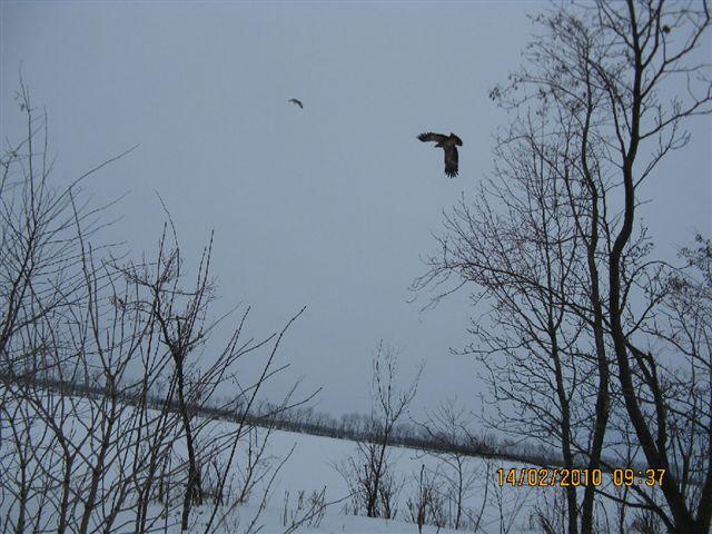 PICT4039.JPG - Foto-Service HR?HO4*EJL?GH46